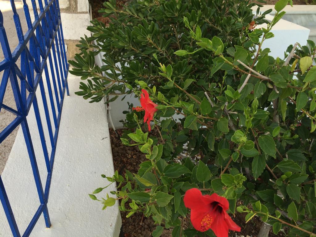 Monolia Sea Breeze Apartments Chios מראה חיצוני תמונה