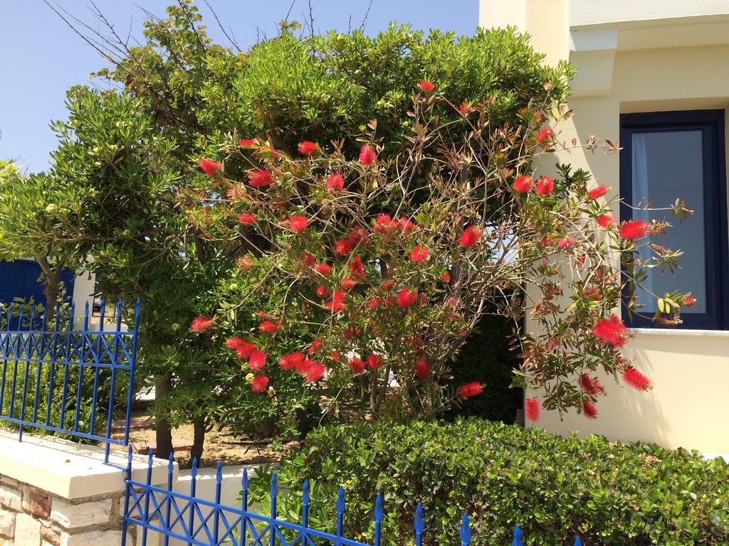 Monolia Sea Breeze Apartments Chios מראה חיצוני תמונה