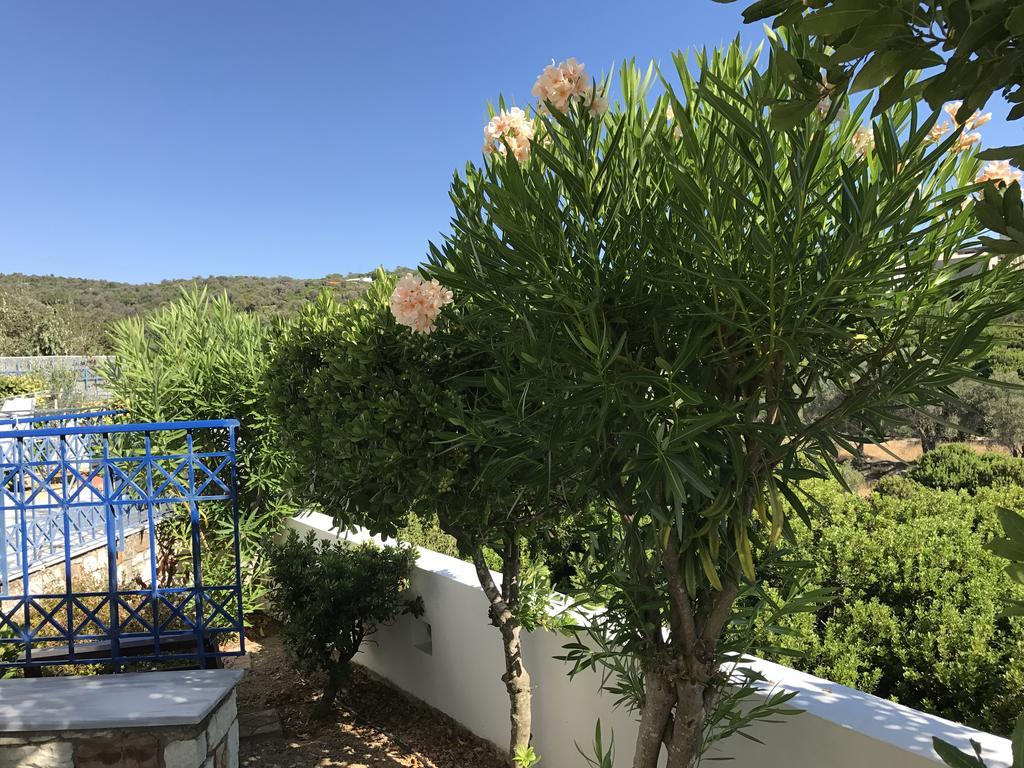 Monolia Sea Breeze Apartments Chios מראה חיצוני תמונה