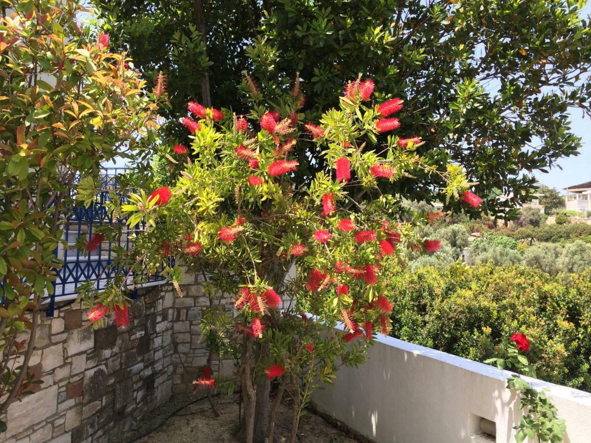 Monolia Sea Breeze Apartments Chios מראה חיצוני תמונה